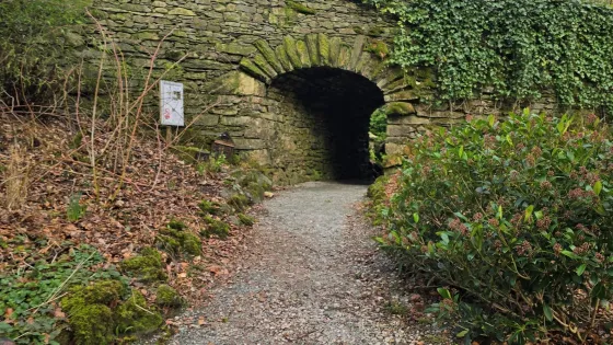 Running path 